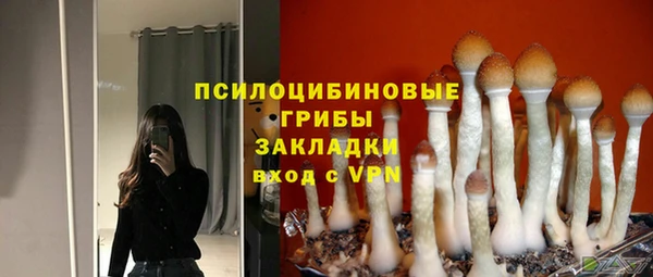 МДПВ Абаза