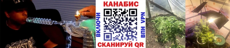 Канабис сатива  купить закладку  Иннополис 